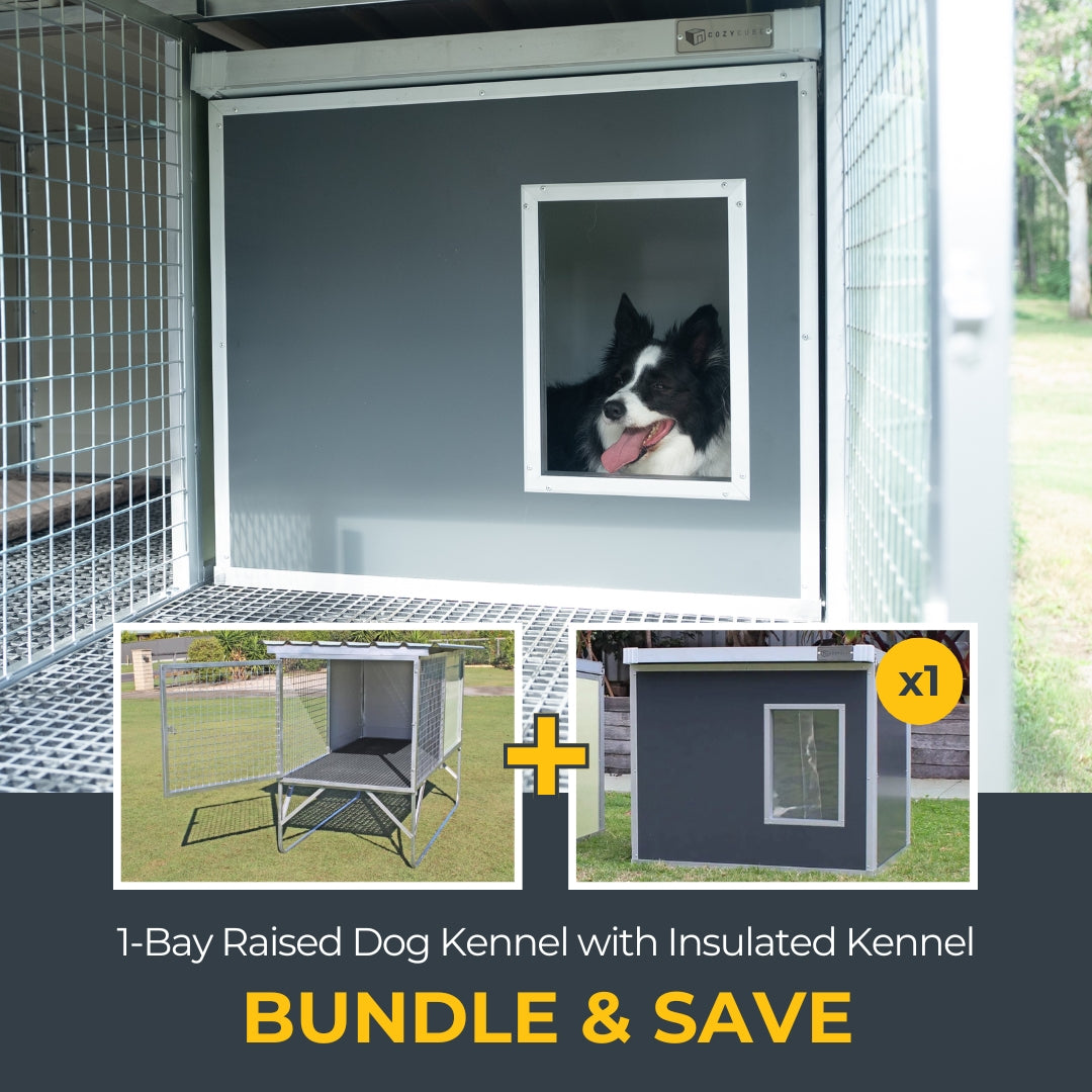 1-Bay Raised Kennel and Insulated Dog House Bundle