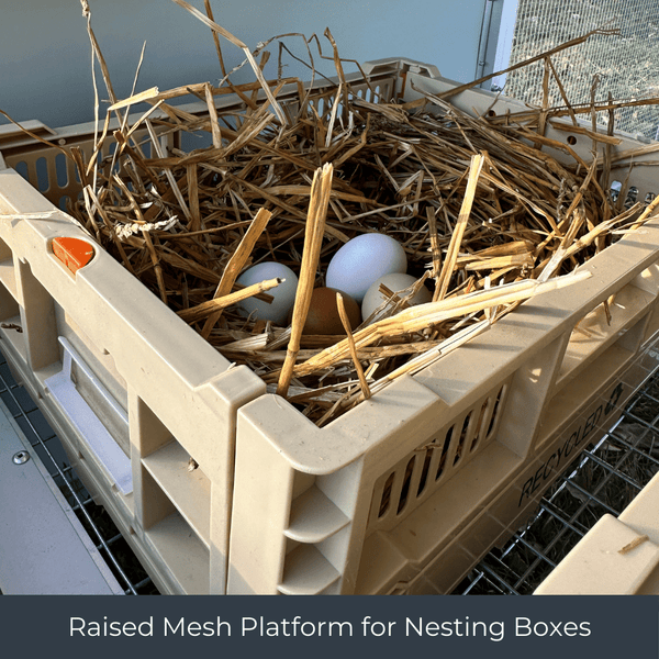 Collapsible Chicken Nesting Box